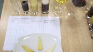 Käse und noch mehr Käse