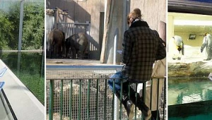 Ethologieseminar im Tiergarten Schönbrunn