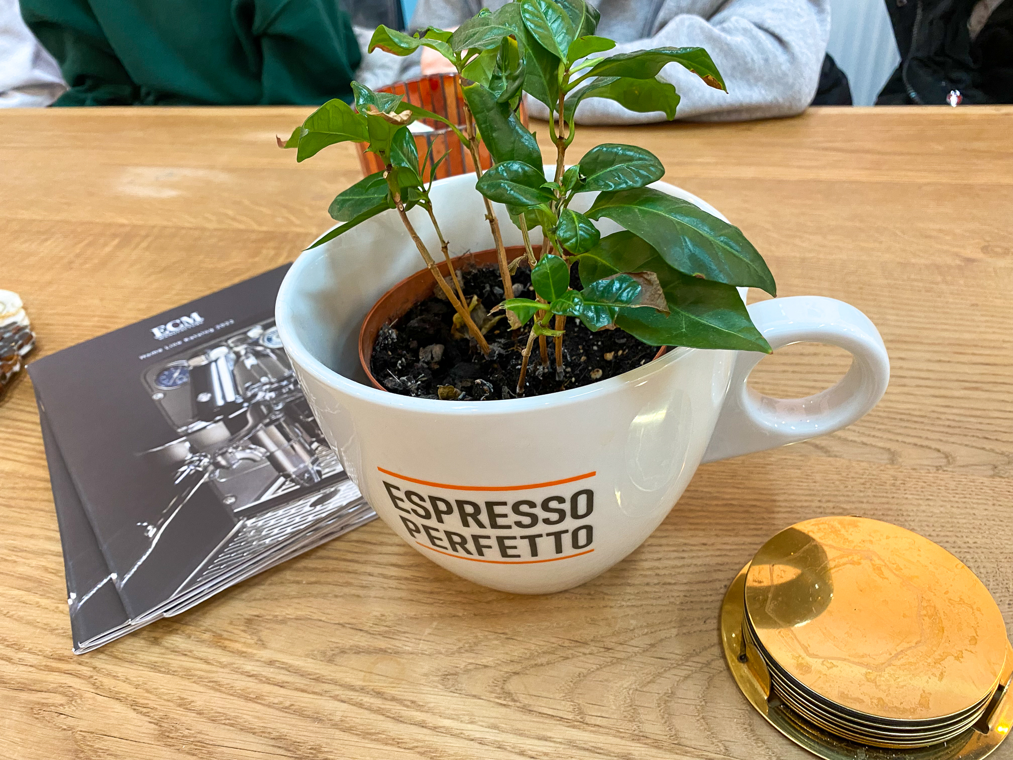 Espresso Perfetto – Einzigartiger Kaffeegenuss mit der 3HWB