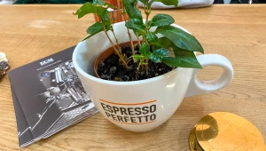 Espresso Perfetto – Einzigartiger Kaffeegenuss mit der 3HWB